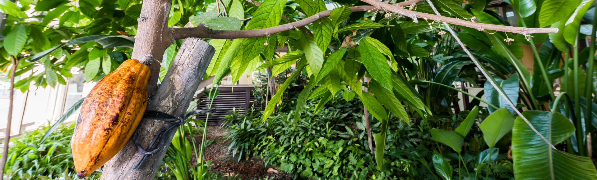 品牌故事banner